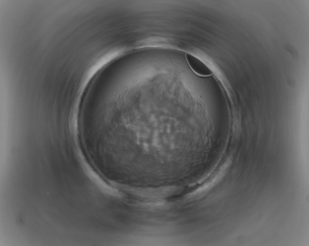 X0000114700957200910211249