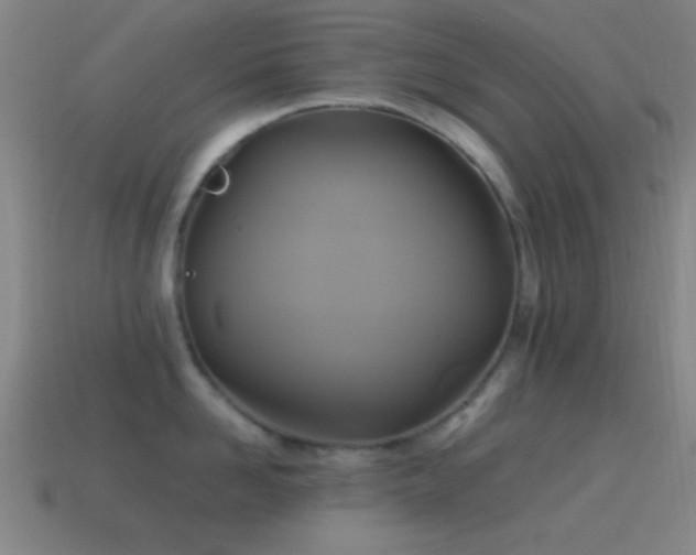 X0000114700958200910211249