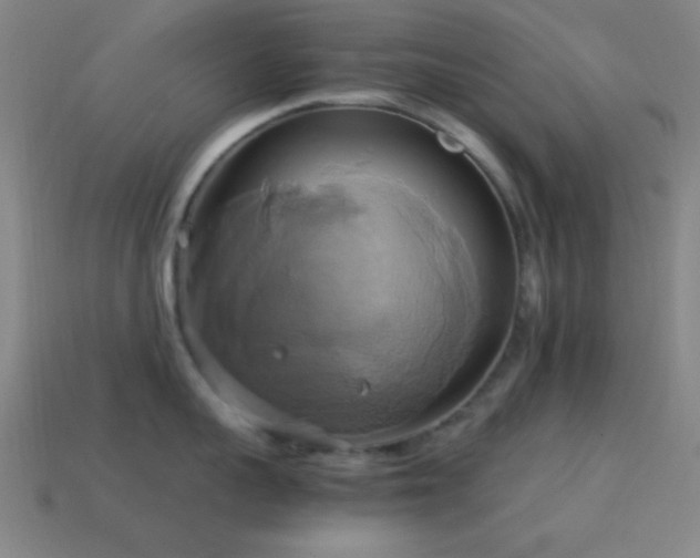 X0000114700959200910211249