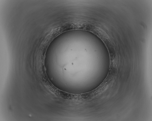 X0000114700961200910211249