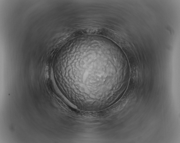 X0000114700962200910211249