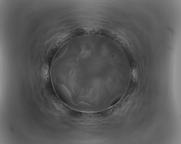 X0000114700963200910211249