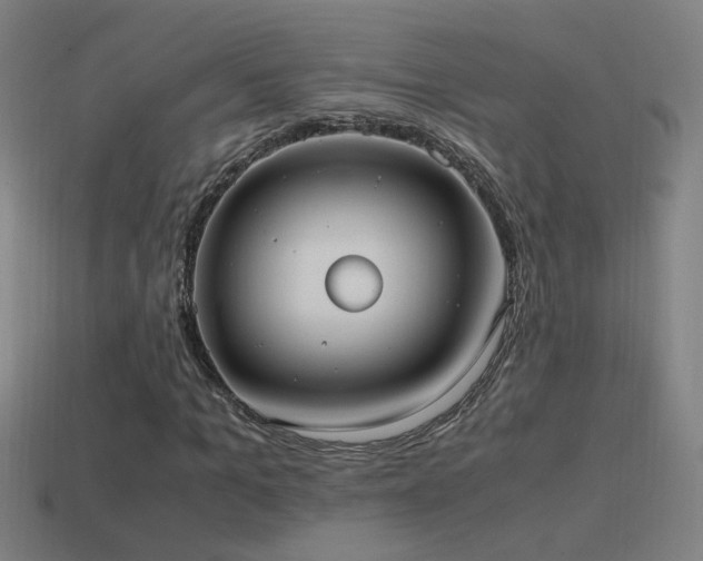 X0000114700965200910211249