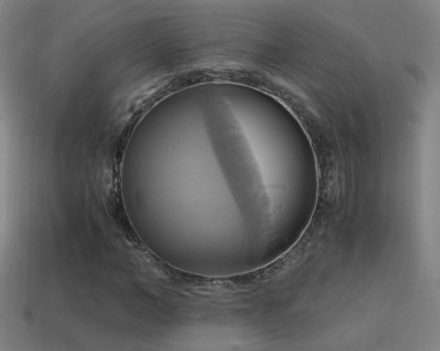 X0000114700966200910211249