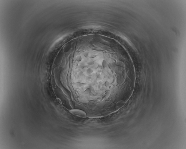 X0000114700967200910211249