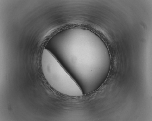 X0000114700968200910211248