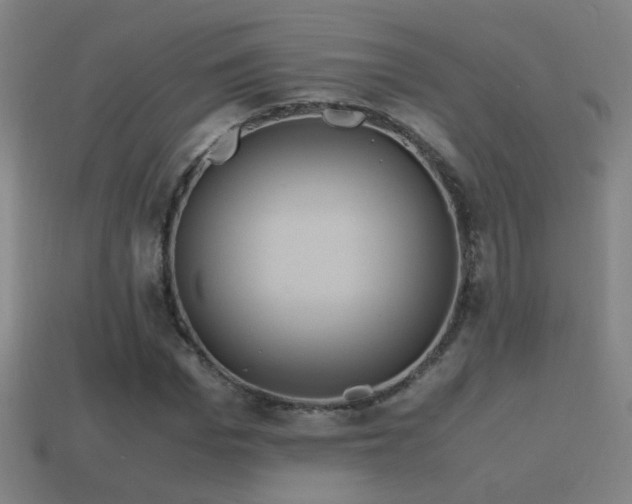 X0000114700969200910211248