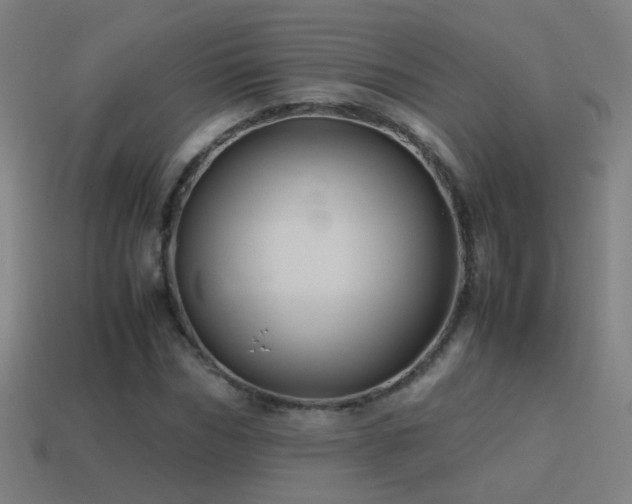 X0000114700970200910211248