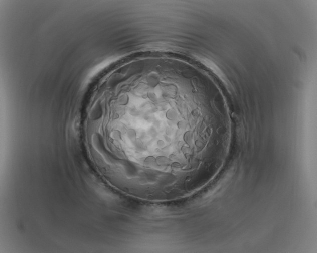 X0000114700971200910211248