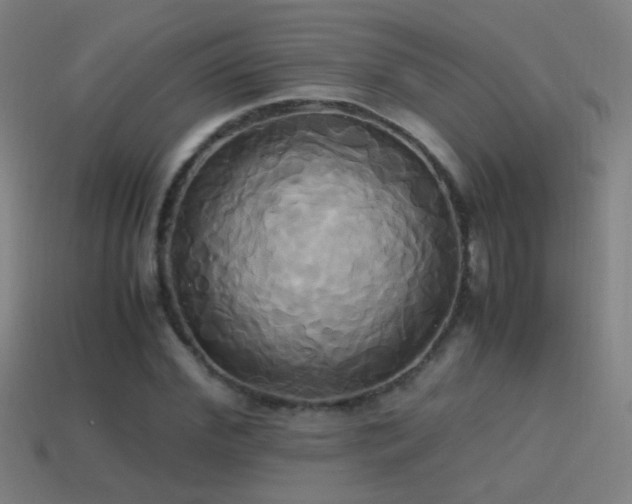 X0000114700972200910211248