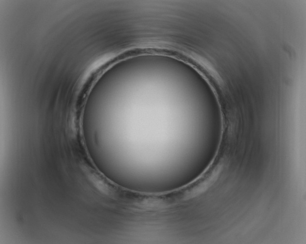 X0000114700974200910211248