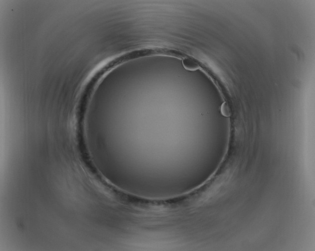 X0000114700975200910211248