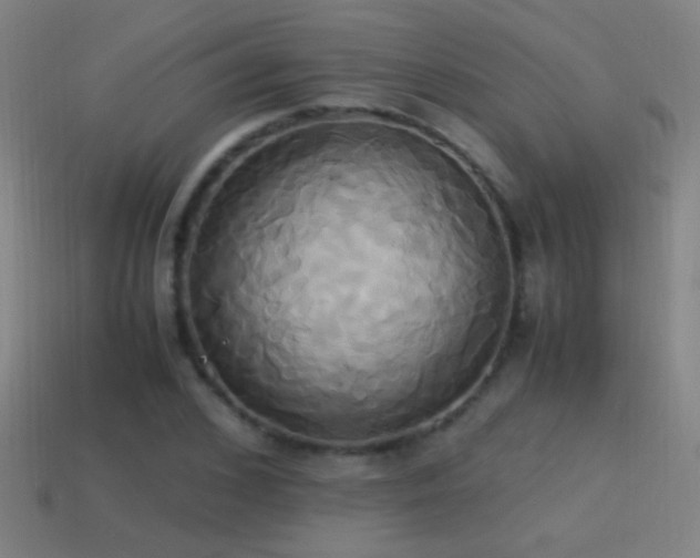 X0000114700976200910211248