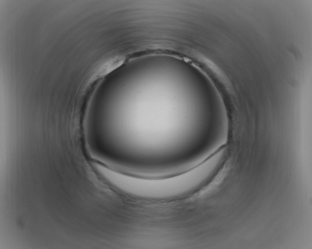 X0000114700977200910211248