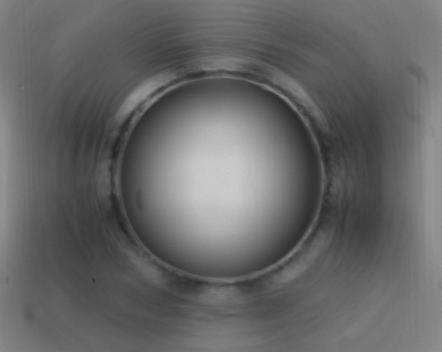 X0000114700978200910211248