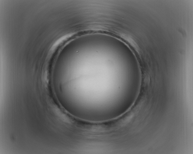 X0000114700979200910211248