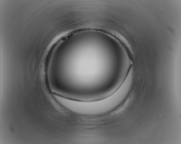 X0000114700981200910211248