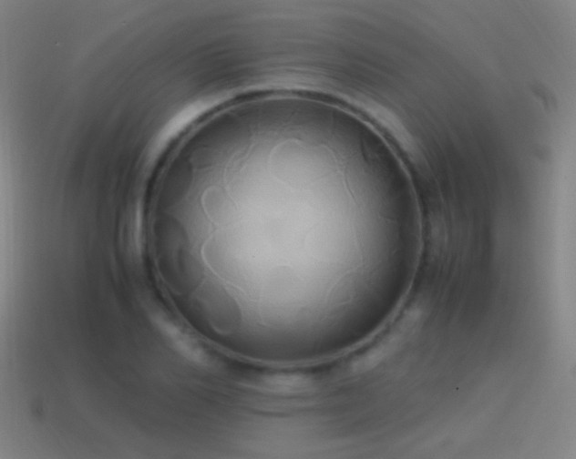 X0000114700982200910211248