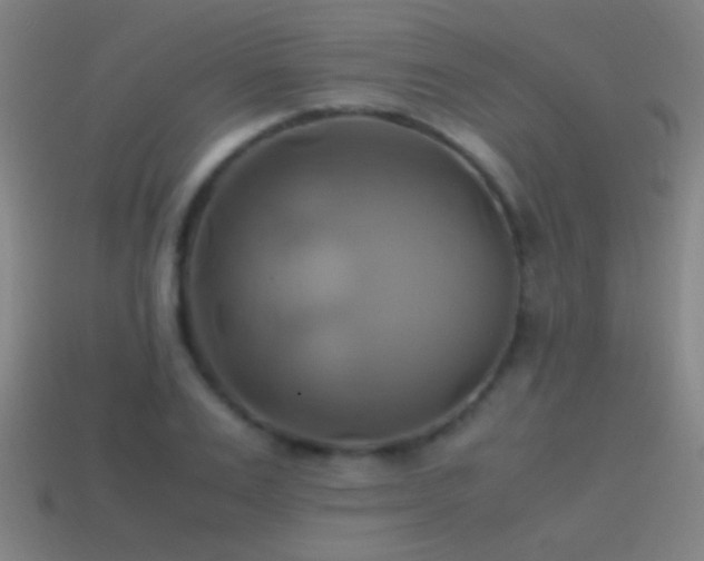 X0000114700983200910211248