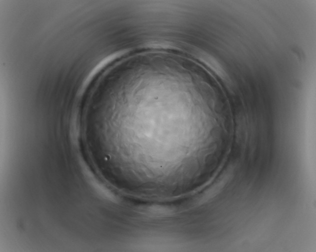 X0000114700984200910211248