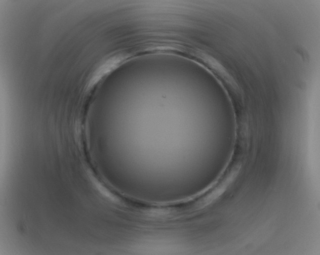 X0000114700985200910211248