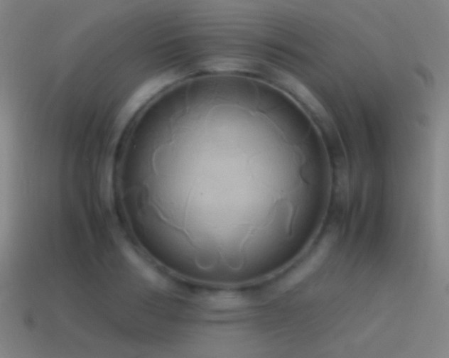 X0000114700986200910211248