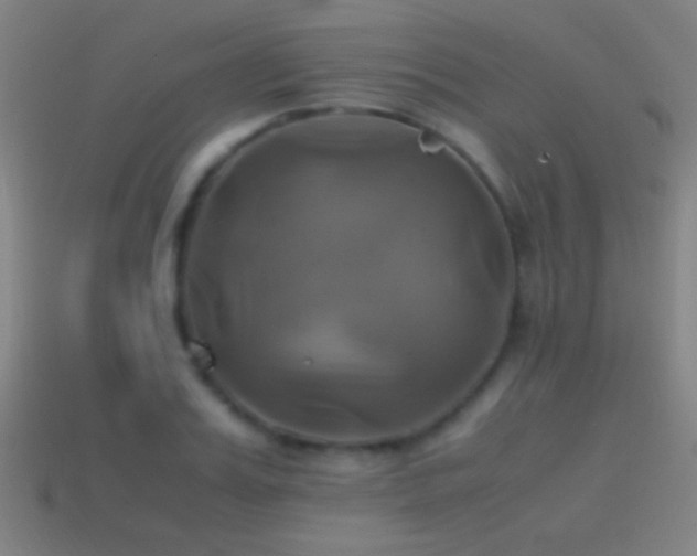 X0000114700987200910211248