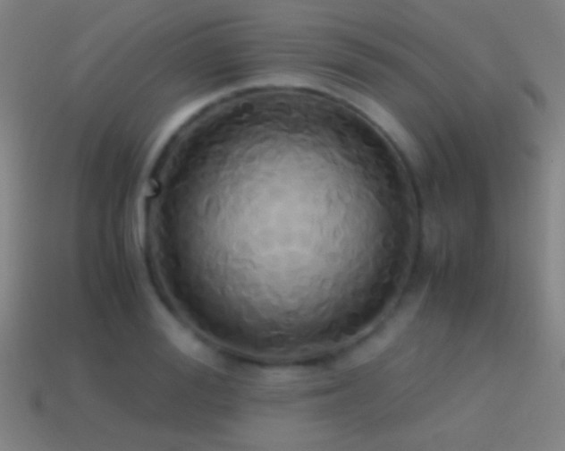 X0000114700988200910211248