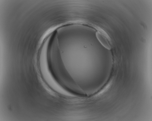 X0000114700989200910211248