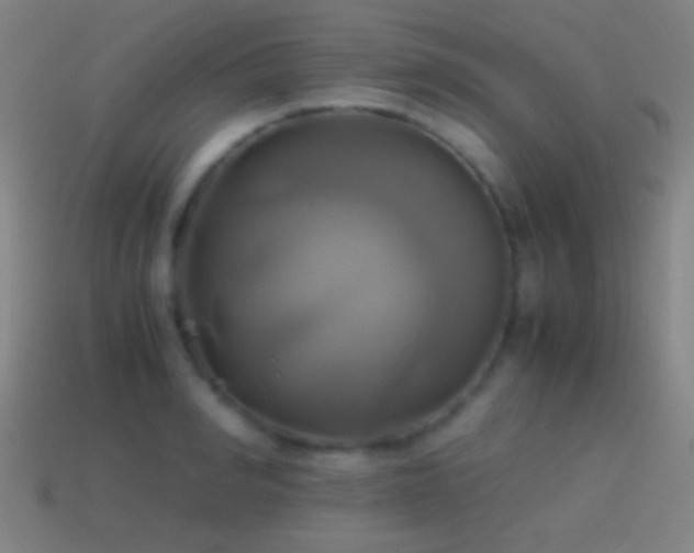 X0000114700990200910211248