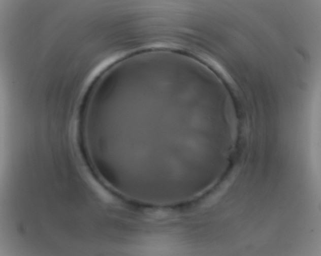 X0000114700991200910211248