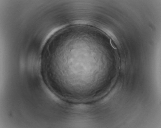 X0000114700992200910211248