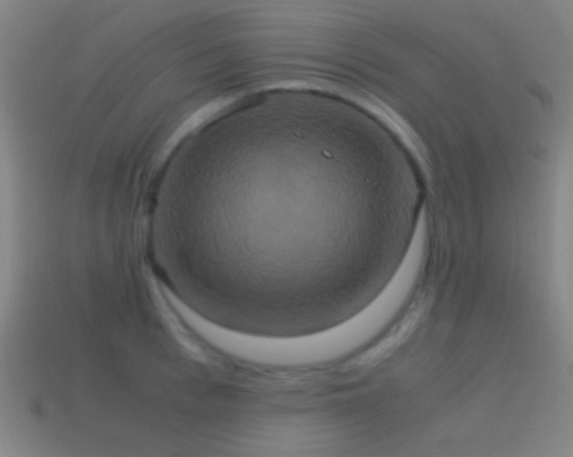 X0000114700993200910211248