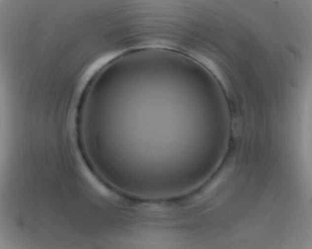 X0000114700995200910211248