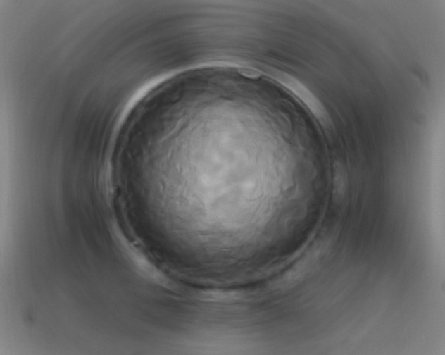 X0000114700996200910211248