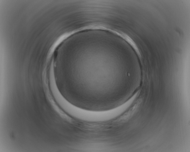 X0000114700997200910211248