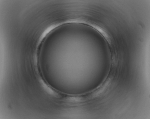 X0000114700998200910211248