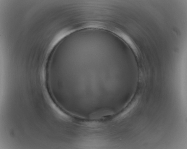 X0000114700999200910211248