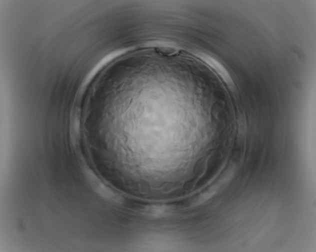 X0000114701000200910211248