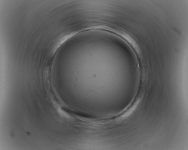 X0000114701001200910211248