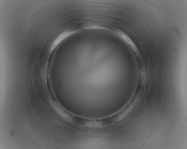 X0000114701002200910211248