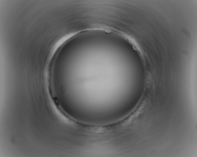 X0000114701003200910211248