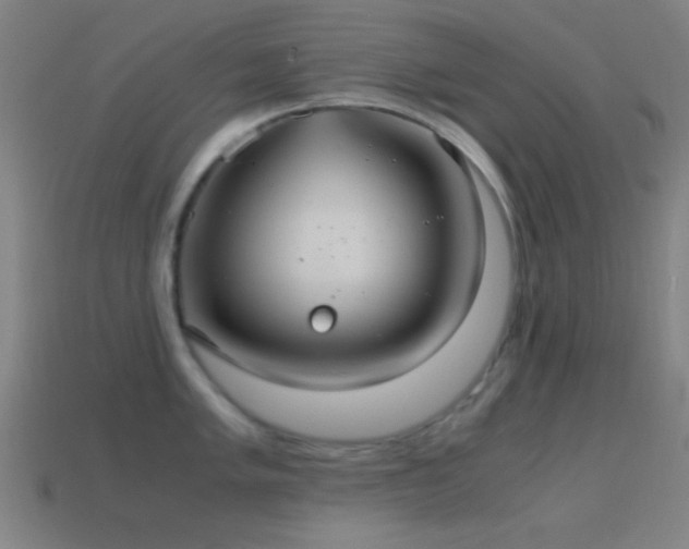 X0000114701005200910211248