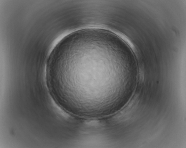 X0000114701006200910211248