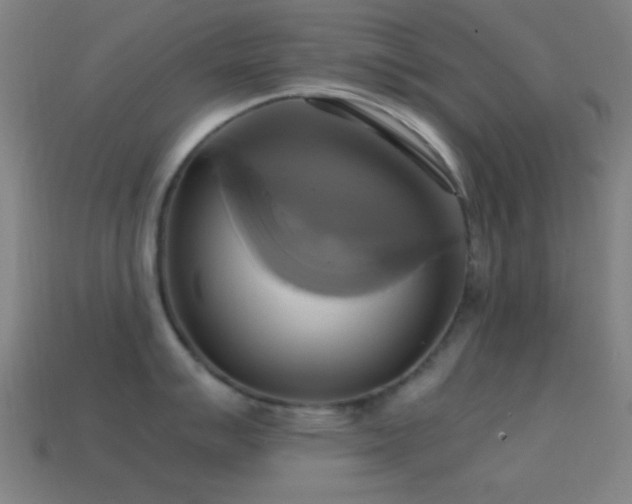 X0000114701007200910211248