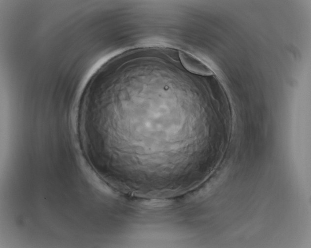 X0000114701008200910211248