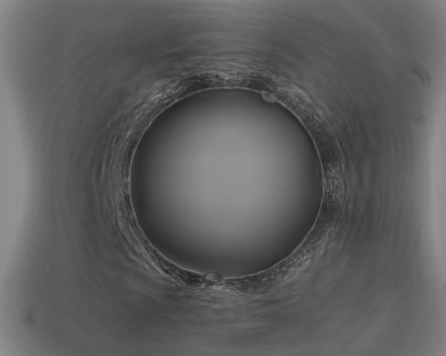 X0000114701009200910211247