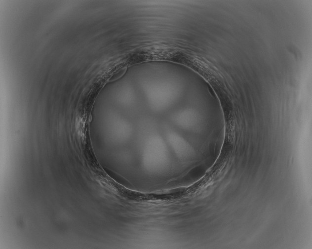 X0000114701010200910211247