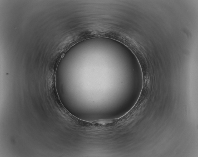 X0000114701012200910211247