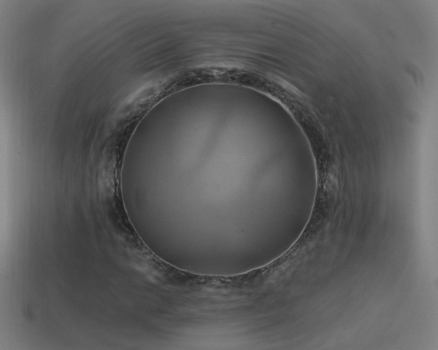 X0000114701014200910211247